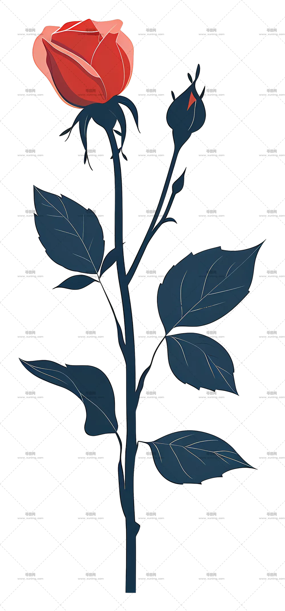 浪漫红色玫瑰花插画PNG免抠图预览图