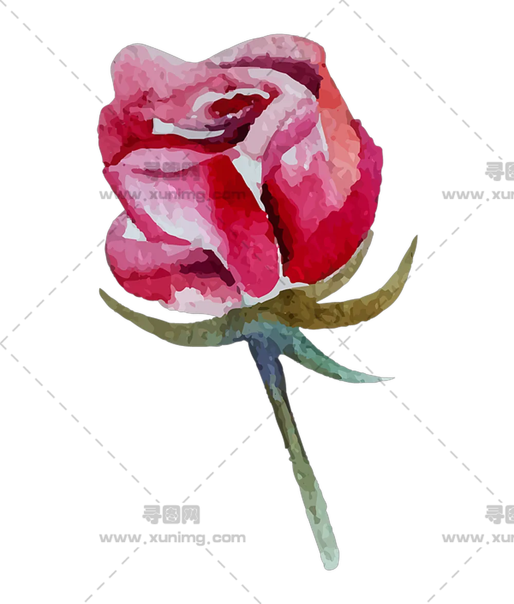 红色玫瑰花水彩插画PNG免抠图预览图