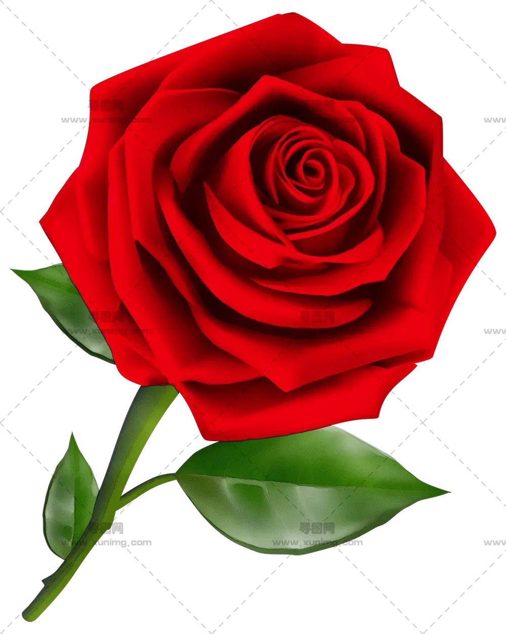 美丽红色玫瑰花插画PNG免抠图预览图