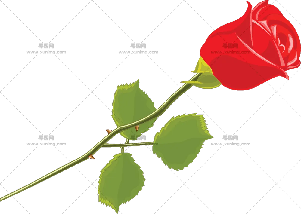 美丽红色玫瑰花朵PNG免抠图预览图