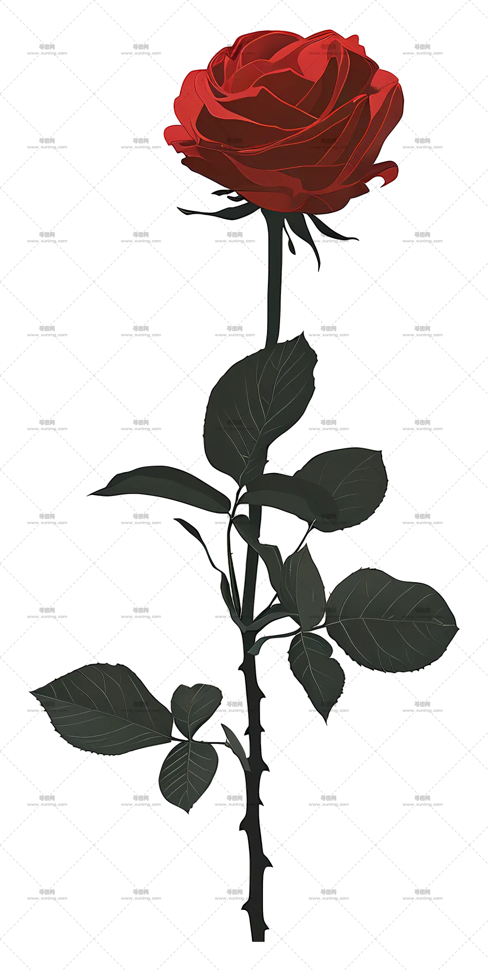 美丽红色玫瑰花插画PNG免抠图预览图