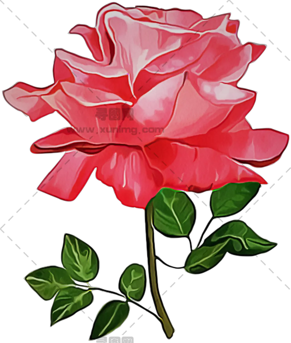 红色玫瑰花和花茎绿叶插画PNG免抠图预览图