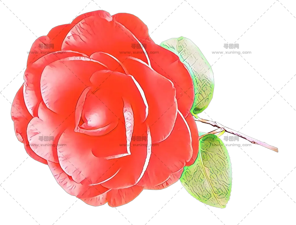 红色玫瑰花朵图形PNG免抠图预览图