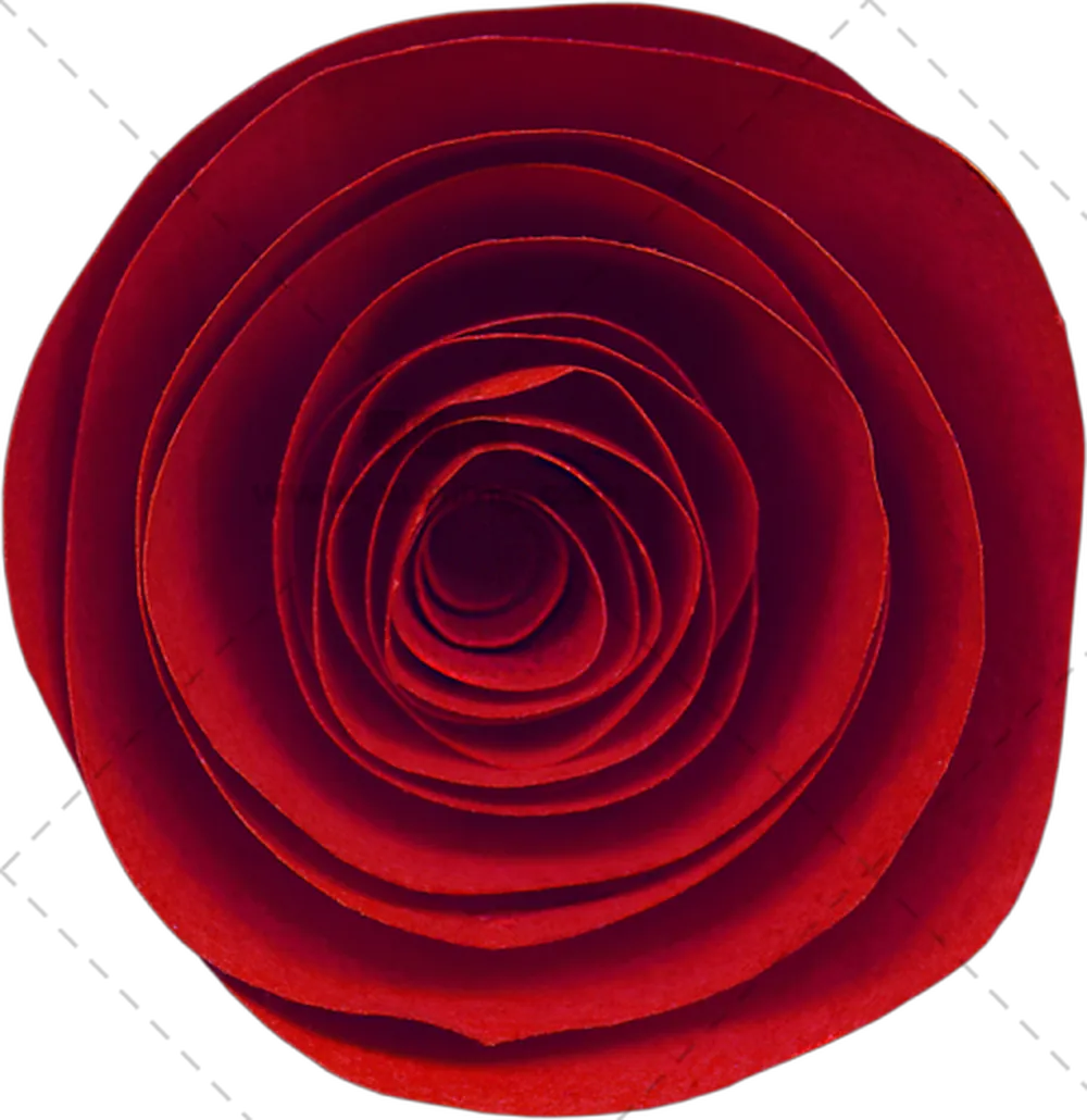 美丽红色玫瑰花PNG免抠图预览图