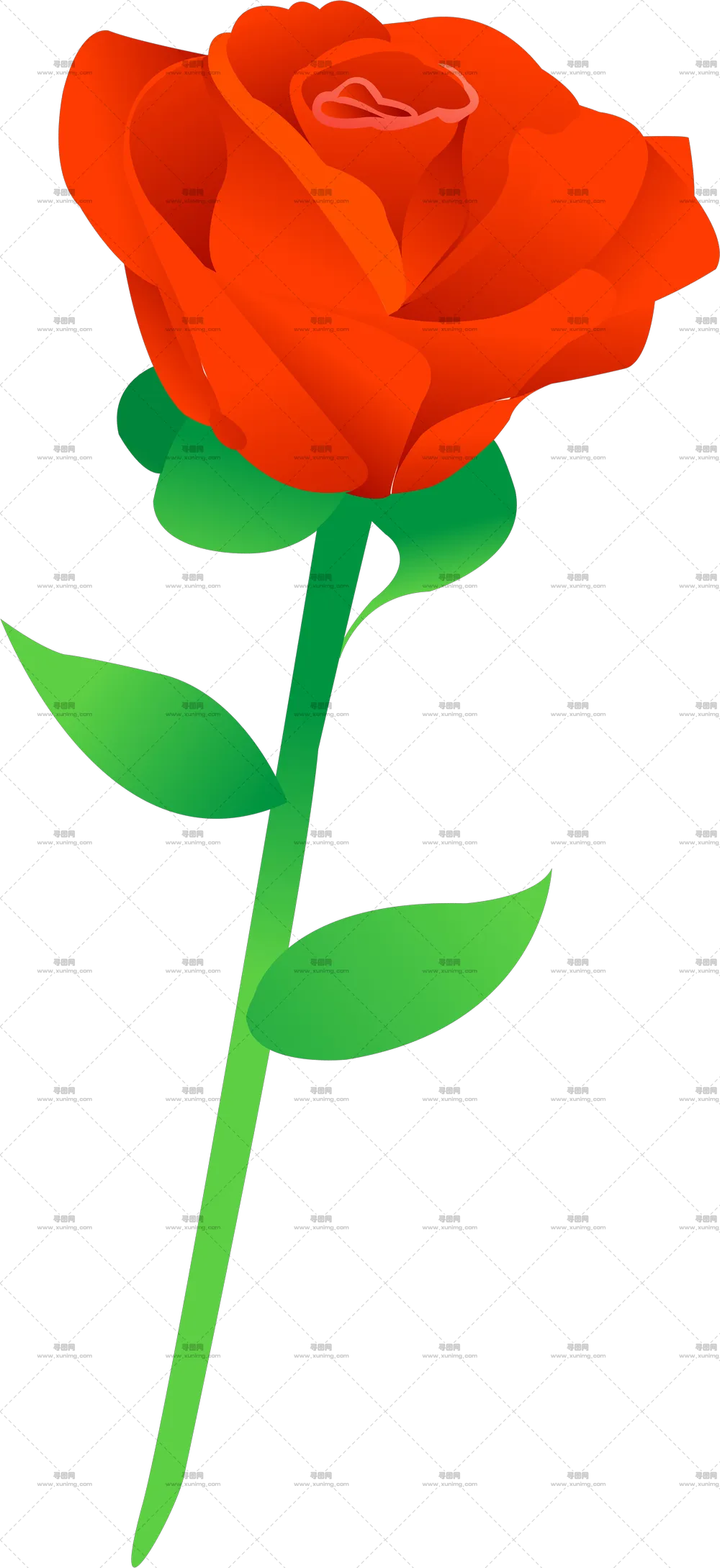 红色玫瑰花和花茎绿叶PNG免抠图预览图