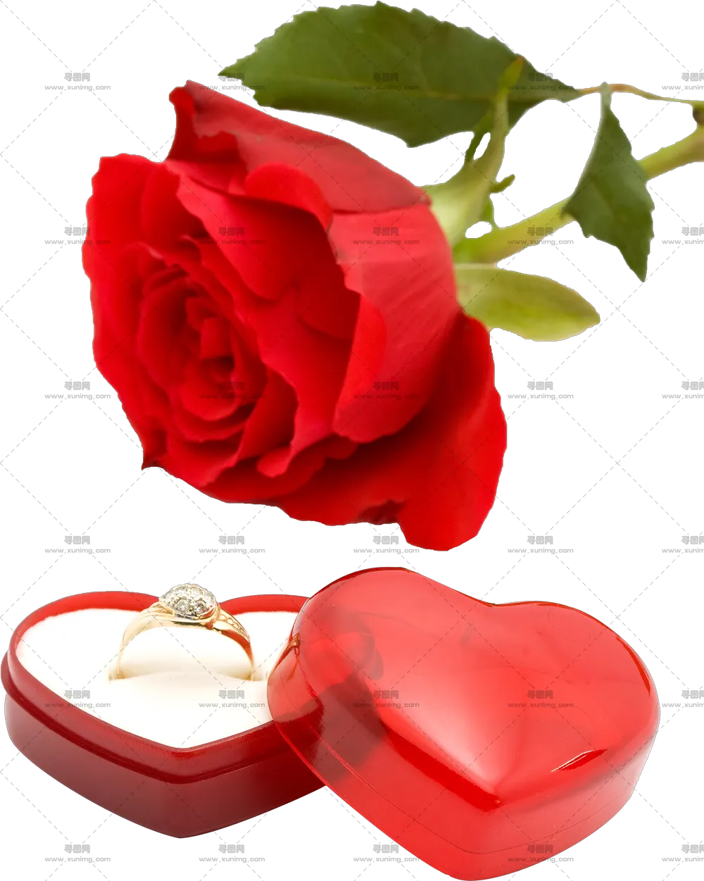 优雅红色玫瑰花和花茎PNG免抠图预览图