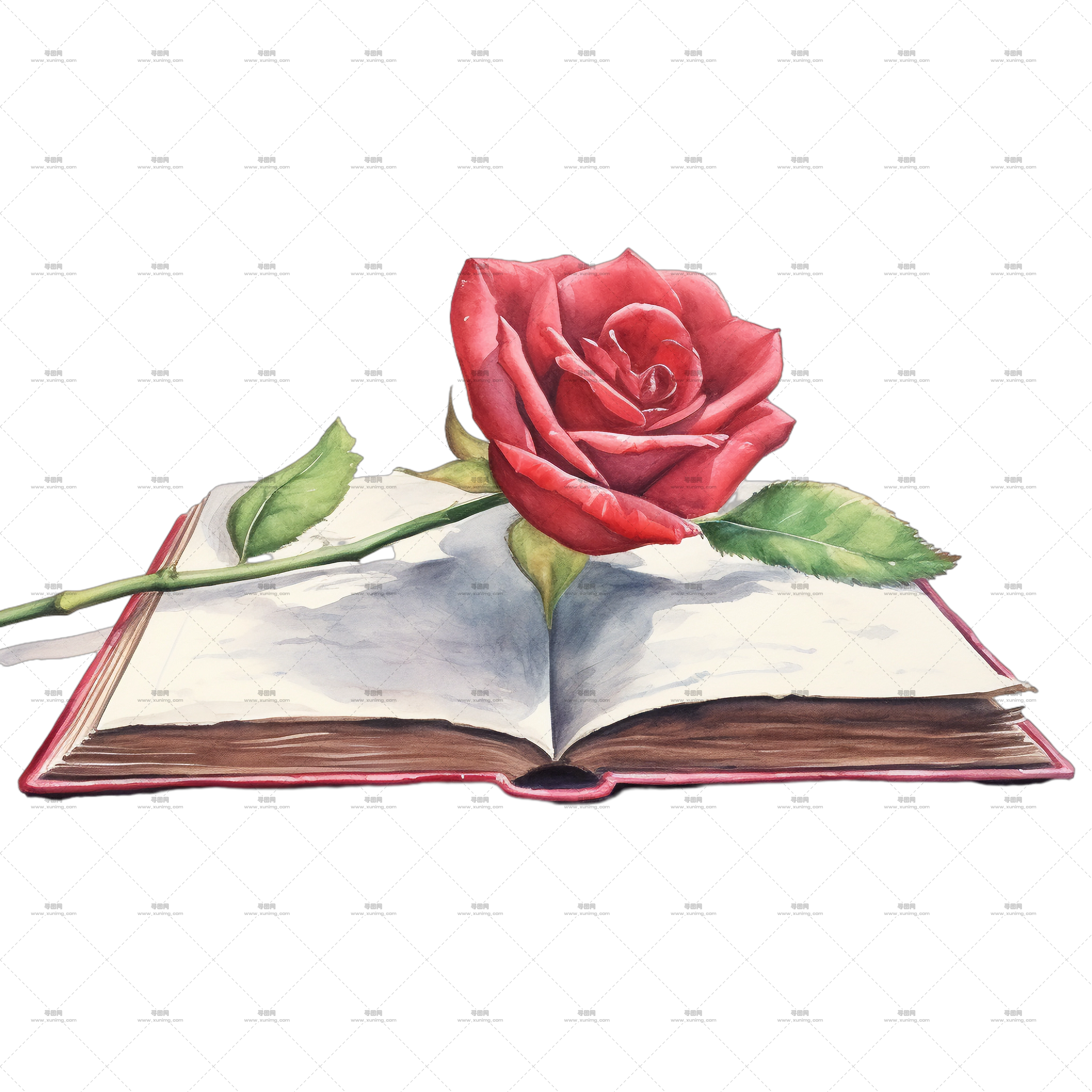 带玫瑰插画翻开书本PNG免抠图预览图