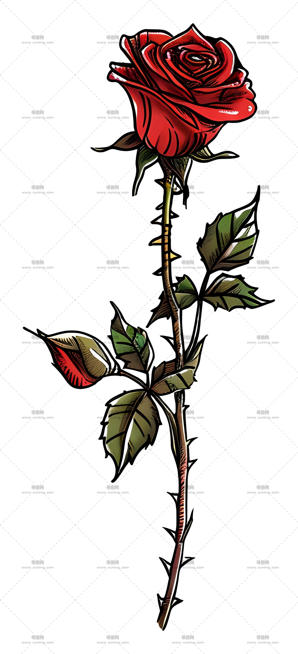 红玫瑰植物插画PNG免抠图预览图