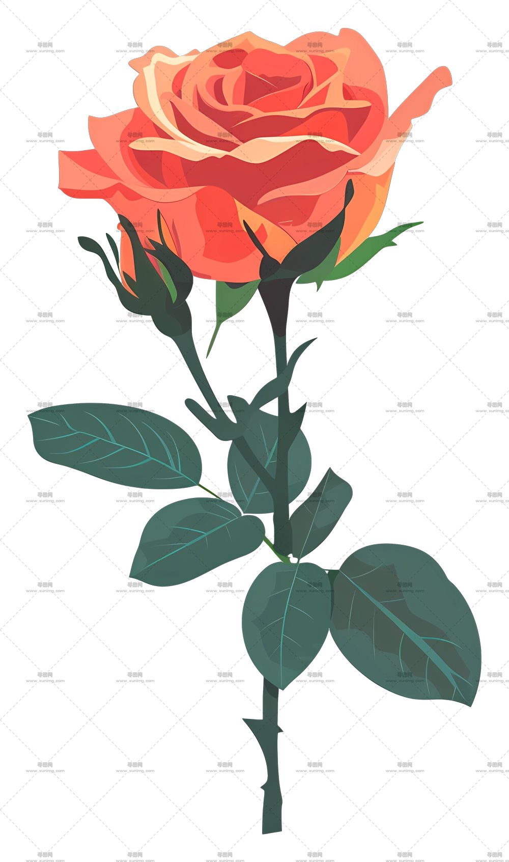 情人节红玫瑰花朵插画PNG免抠图预览图