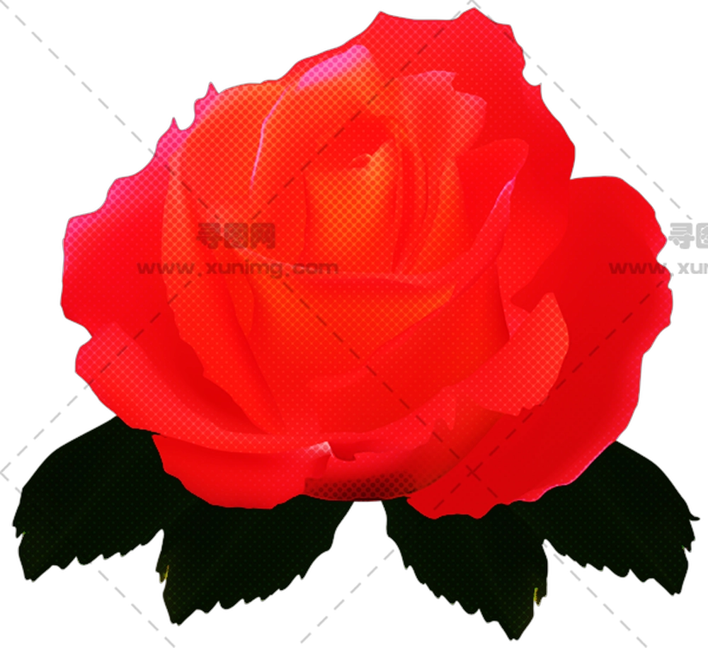 绿叶红玫瑰插画PNG免抠图预览图