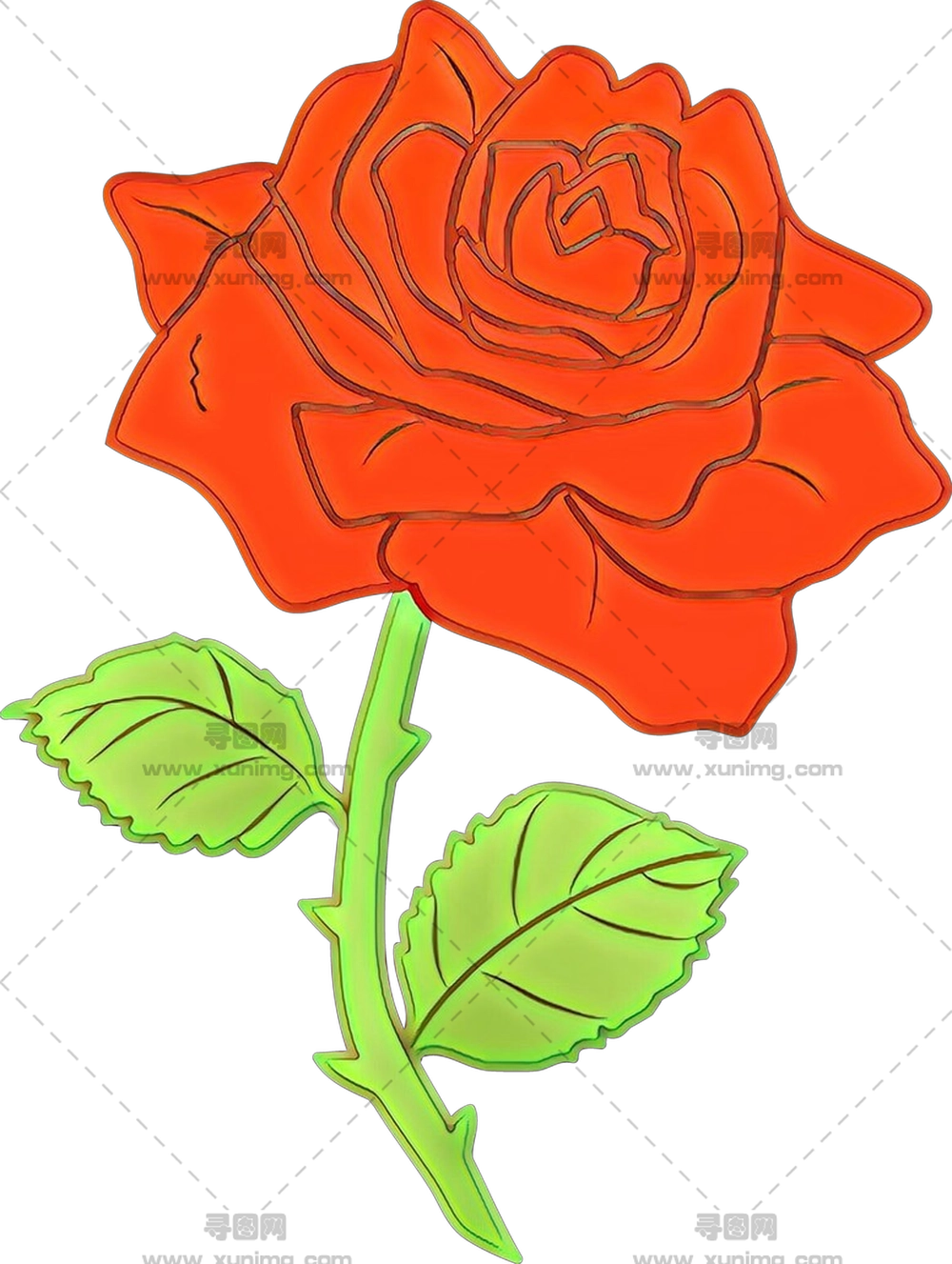 红玫瑰花朵插画PNG免抠图预览图