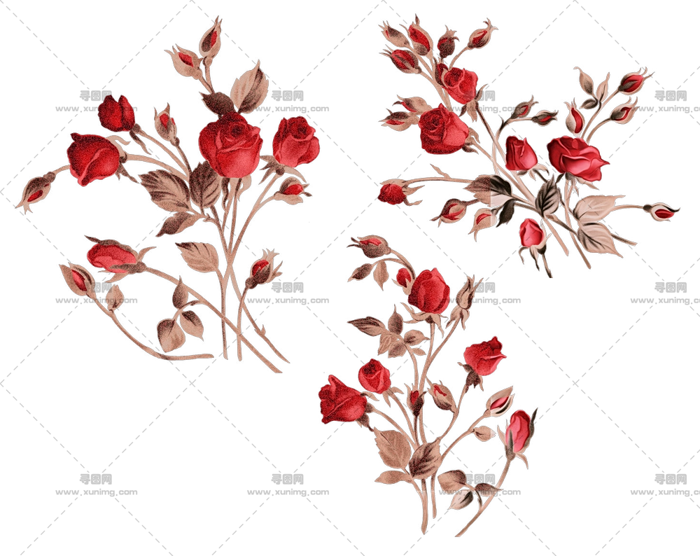 美丽红玫瑰花束插画PNG免抠图预览图