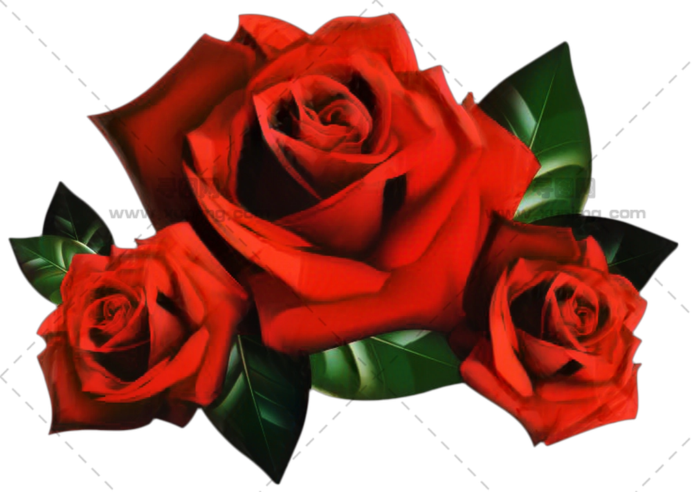 美丽红玫瑰花束PNG免抠图预览图