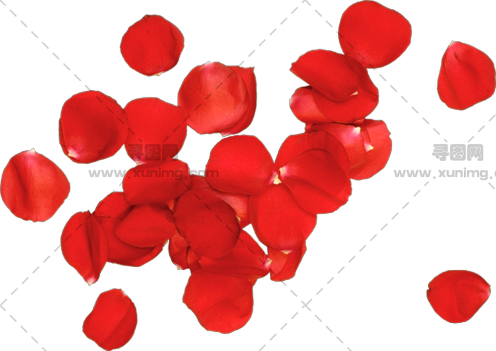 浪漫装饰红玫瑰花瓣PNG免抠图预览图