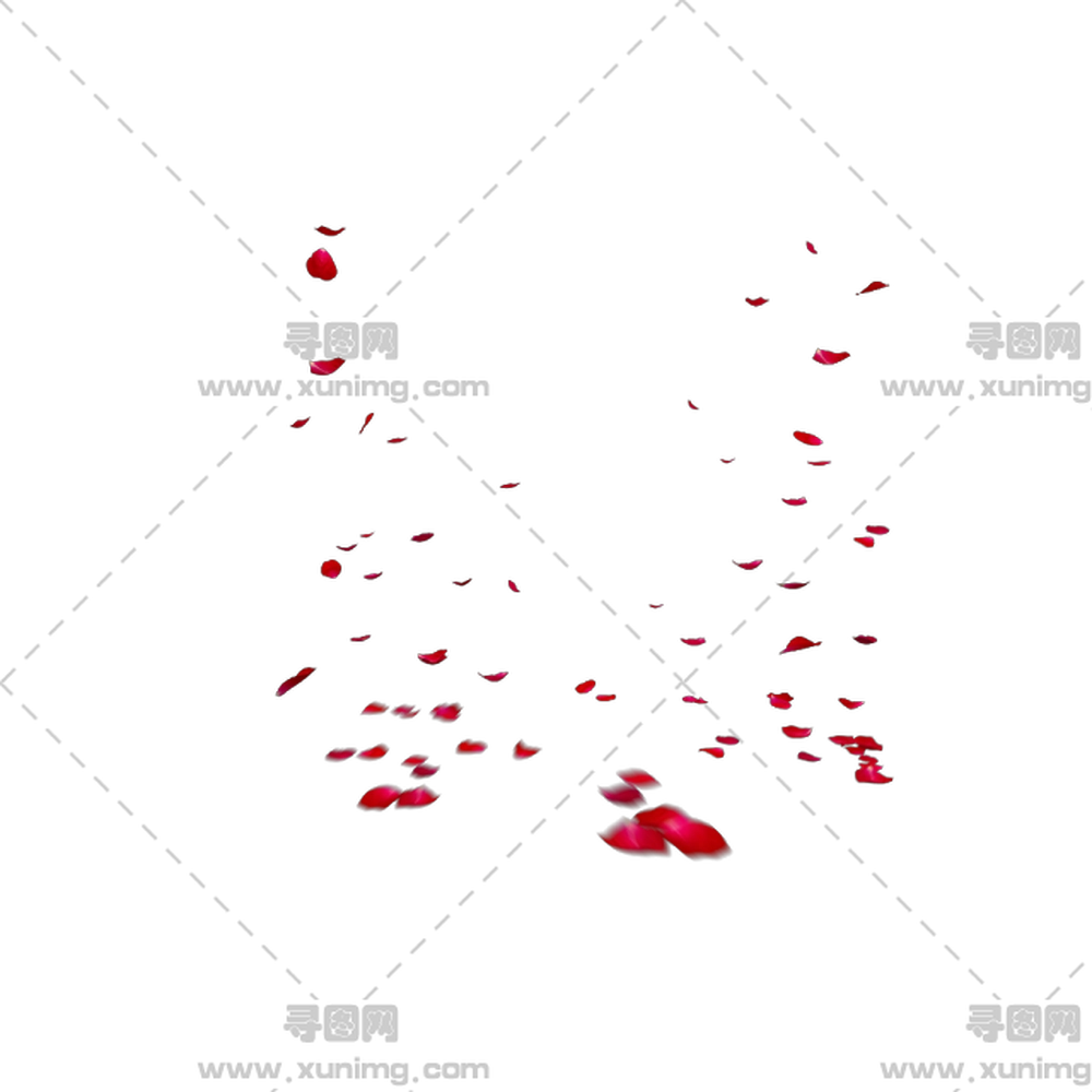 飘落红玫瑰花瓣设计PNG免抠图预览图