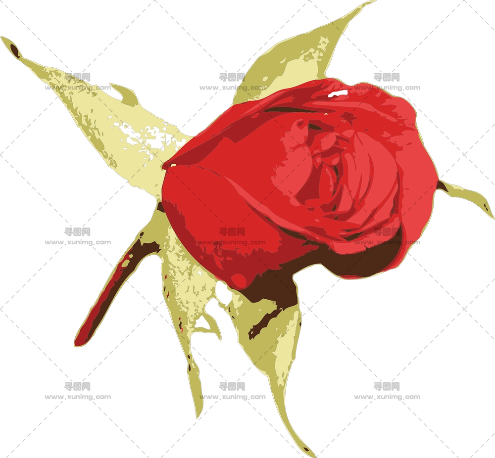 绿叶红玫瑰插画PNG免抠图预览图