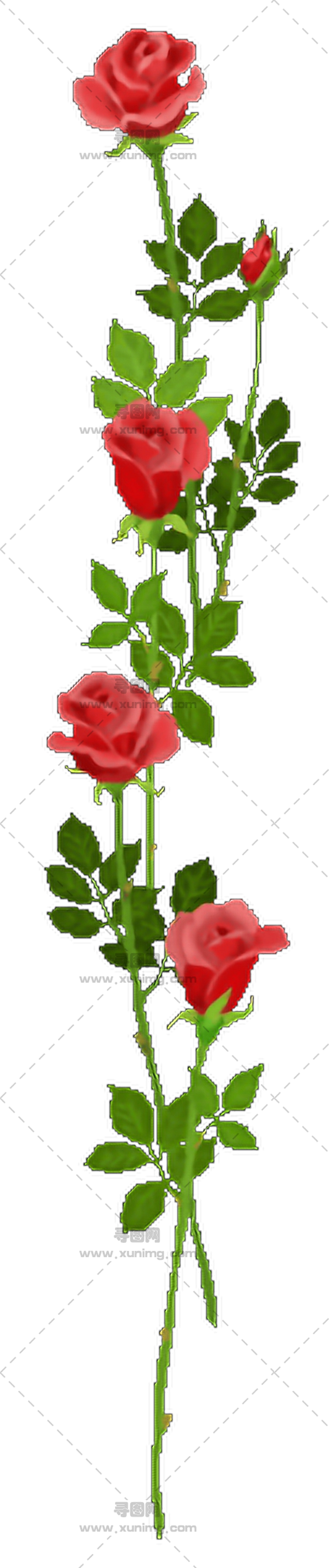 浪漫红玫瑰茎PNG免抠图预览图