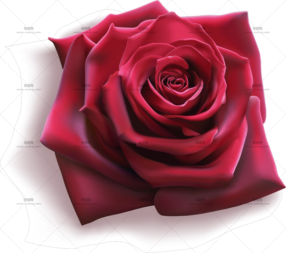 精细花瓣深红玫瑰PNG免抠图预览图 精细花瓣深红玫瑰PNG免抠图预览图