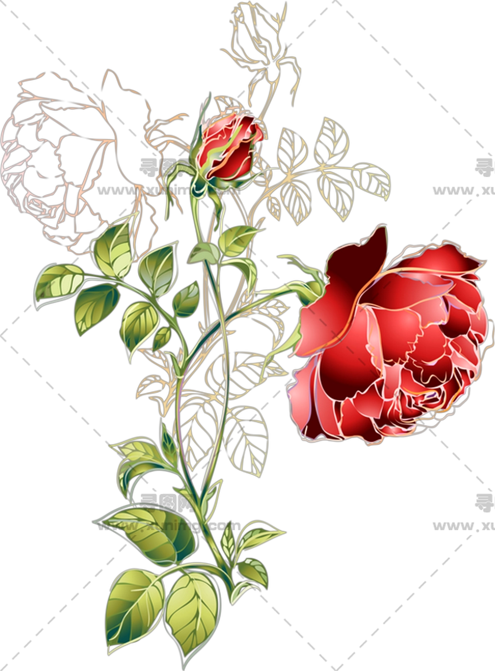 美丽绿叶红玫瑰插画PNG免抠图预览图