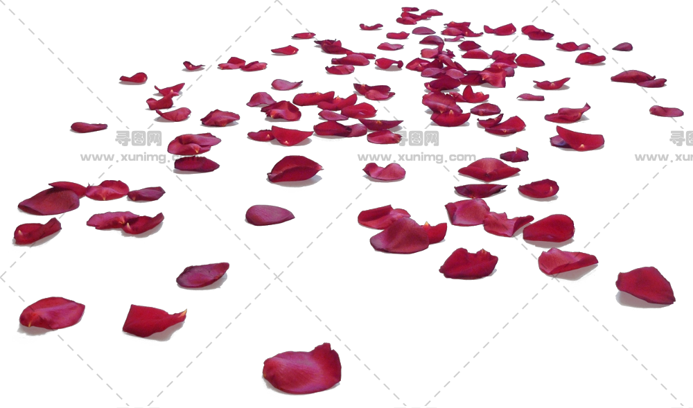 散落红玫瑰花瓣PNG免抠图预览图 散落红玫瑰花瓣PNG免抠图预览图