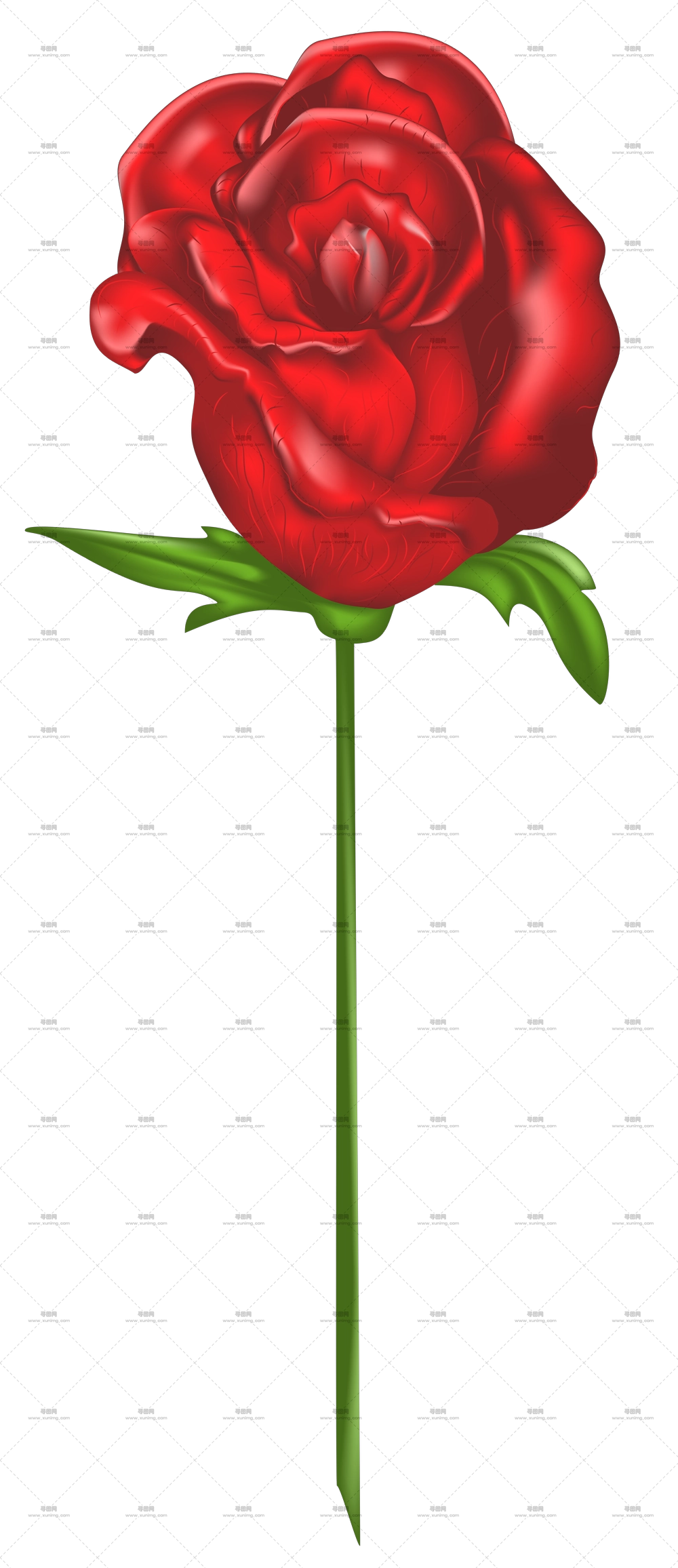 长茎红玫瑰PNG免抠图预览图