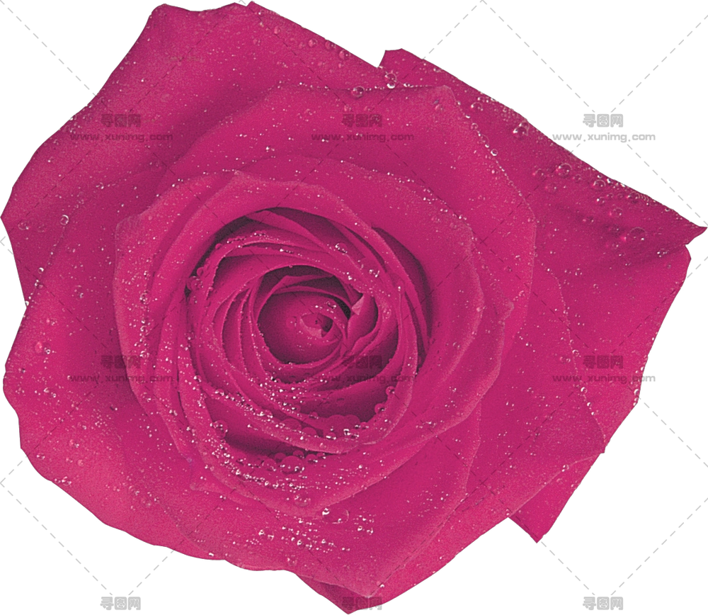 闪亮装饰红玫瑰PNG免抠图预览图 闪亮装饰红玫瑰PNG免抠图预览图