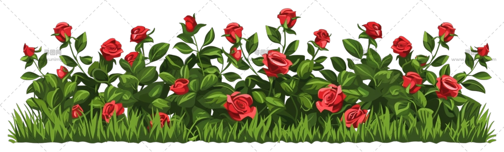 花园绿意红玫瑰丛PNG免抠图预览图 花园绿意红玫瑰丛PNG免抠图预览图