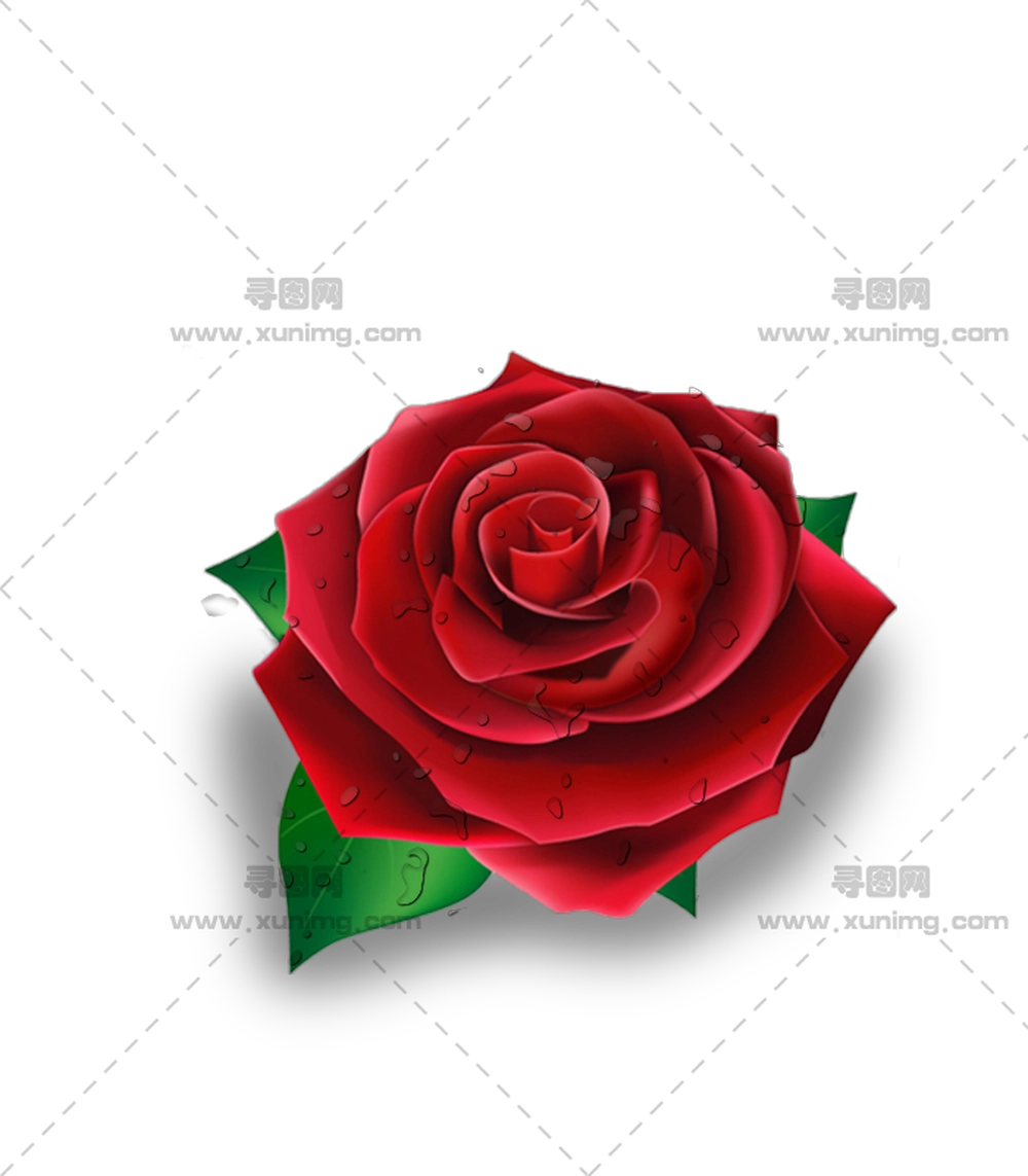 水滴红玫瑰PNG免抠图预览图 水滴红玫瑰PNG免抠图预览图
