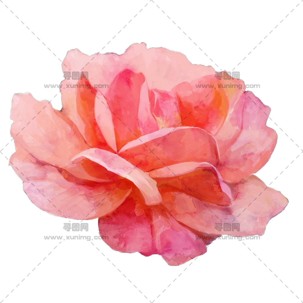 象征爱情美丽粉色玫瑰花朵PNG免抠图预览图