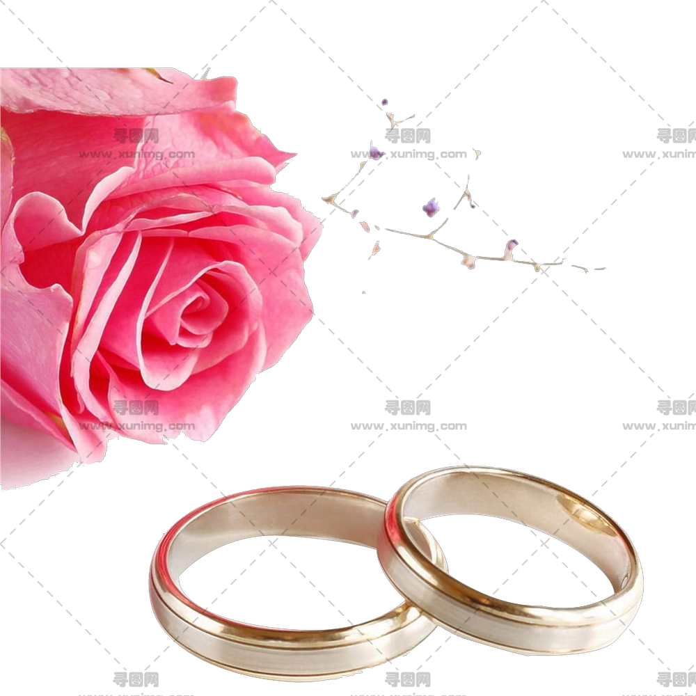 结婚戒指和玫瑰花PNG免抠图预览图