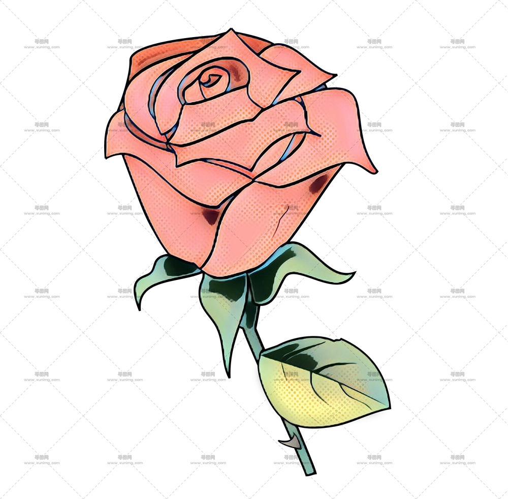 粉色玫瑰花卉插画PNG免抠图预览图