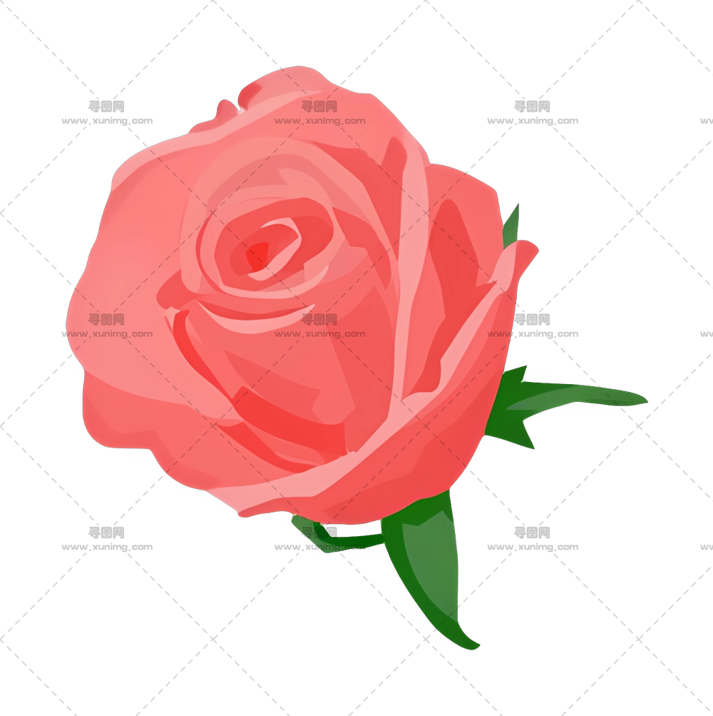 美丽粉色玫瑰花插画PNG免抠图预览图