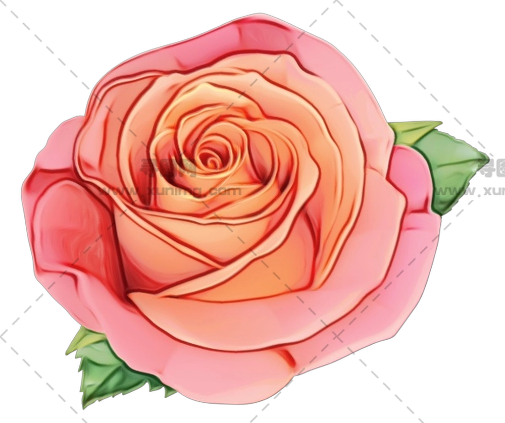 带柔和花瓣精致粉色玫瑰花PNG免抠图预览图