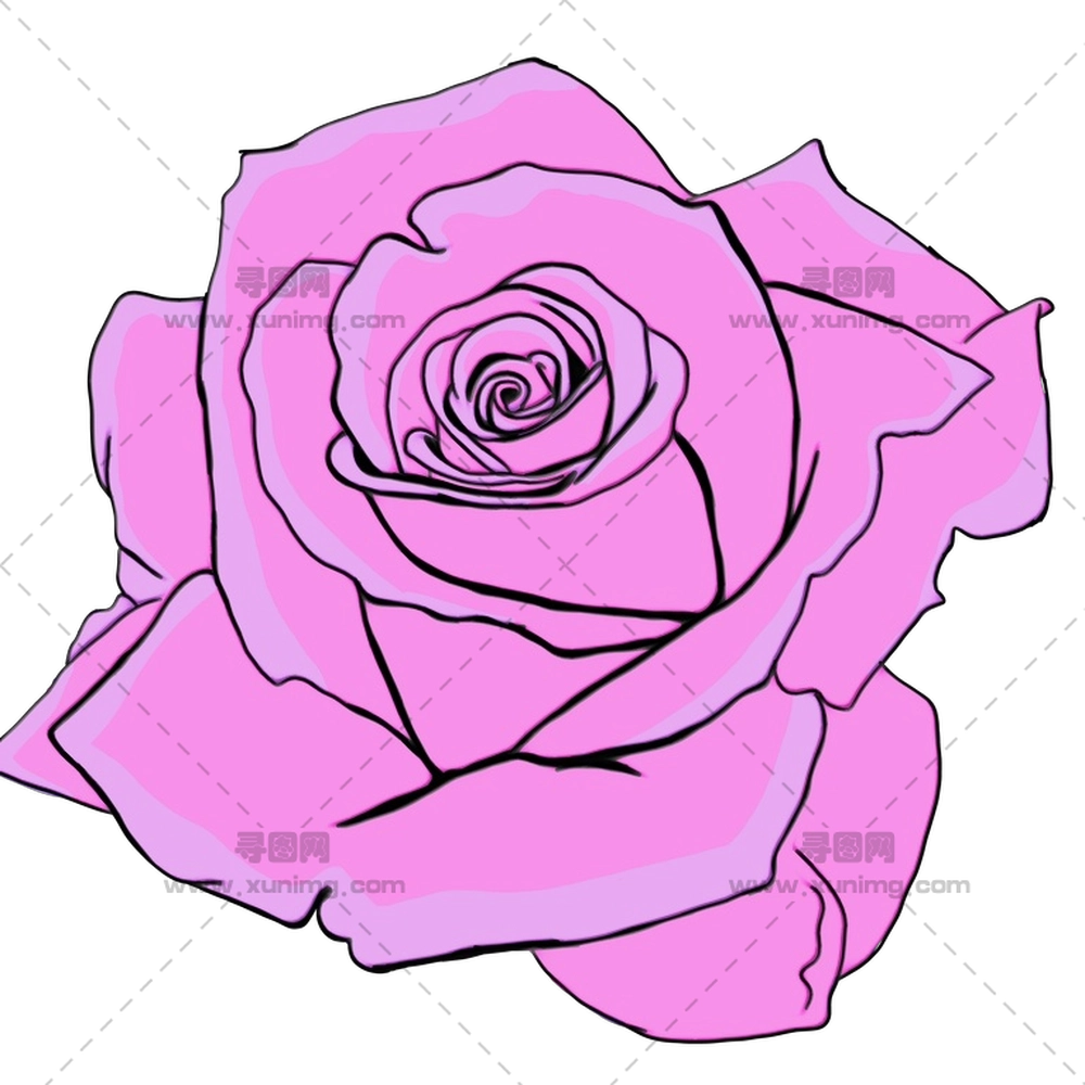 柔和细节粉色玫瑰花插画PNG免抠图预览图