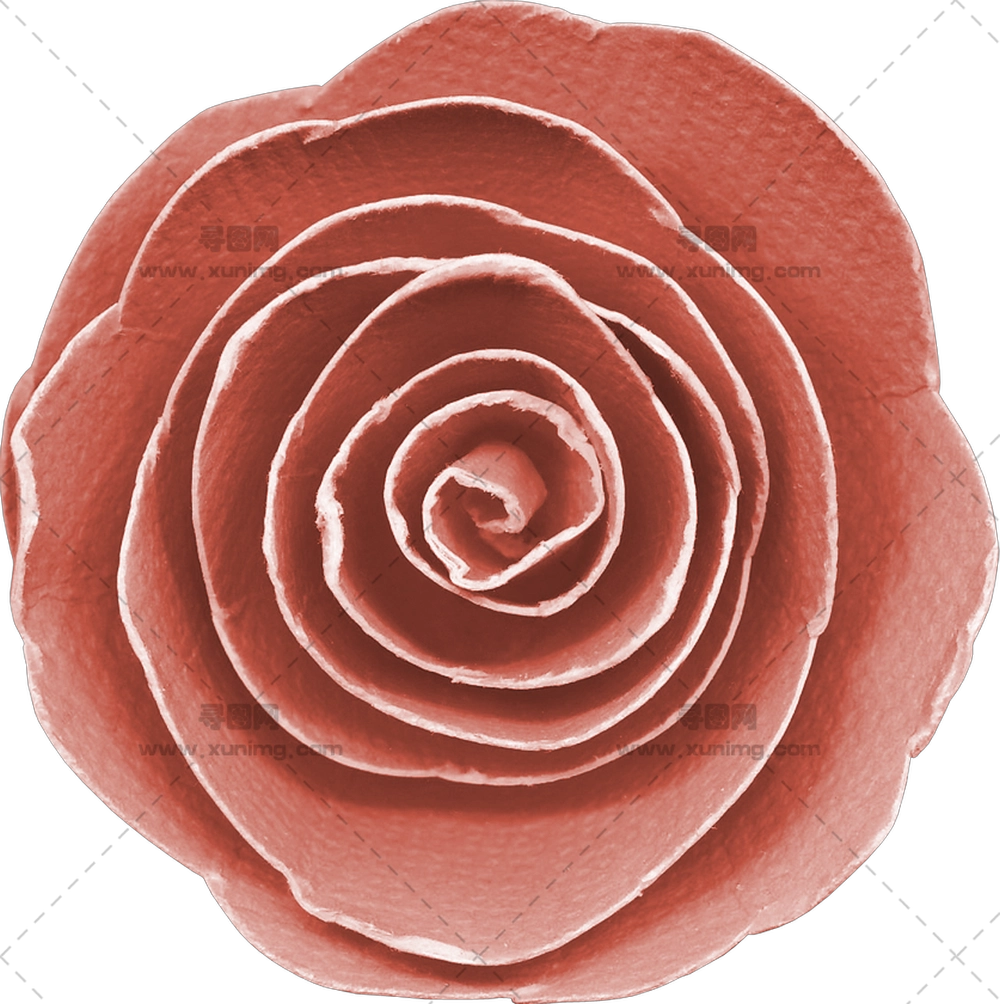 带精致花瓣粉色玫瑰花PNG免抠图预览图