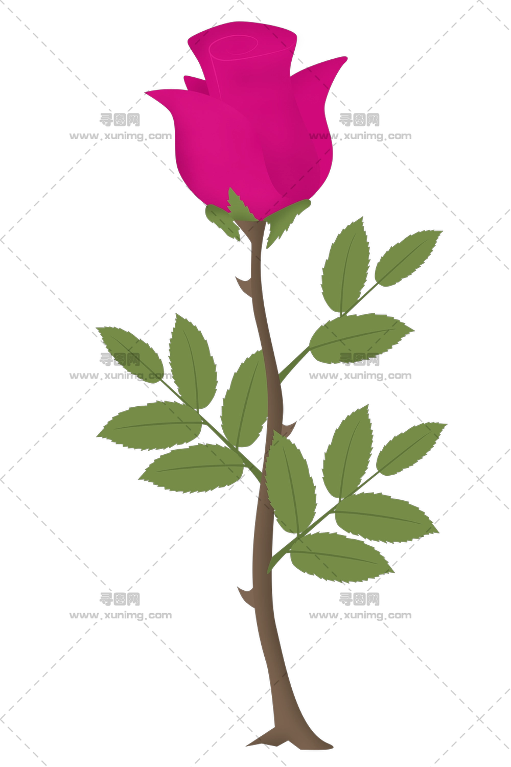 带绿叶美丽粉色玫瑰花PNG免抠图预览图