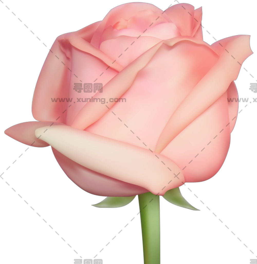 美丽粉色玫瑰花朵PNG免抠图预览图 美丽粉色玫瑰花朵PNG免抠图预览图