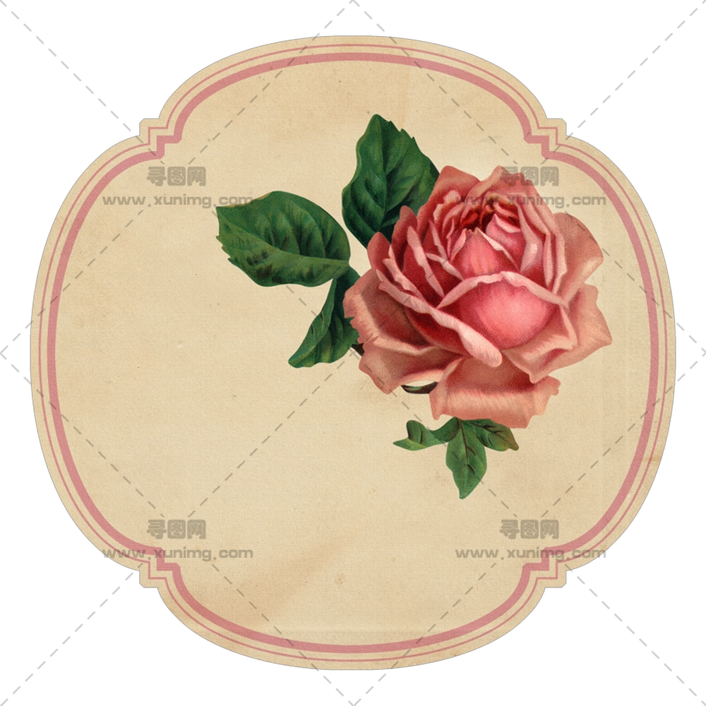 复古粉色玫瑰花插画PNG免抠图预览图 复古粉色玫瑰花插画PNG免抠图预览图
