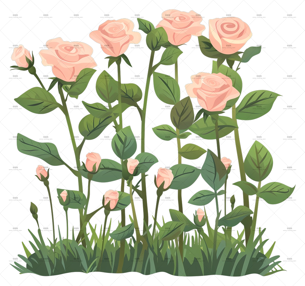 带绽放花朵粉色玫瑰花灌木PNG免抠图预览图