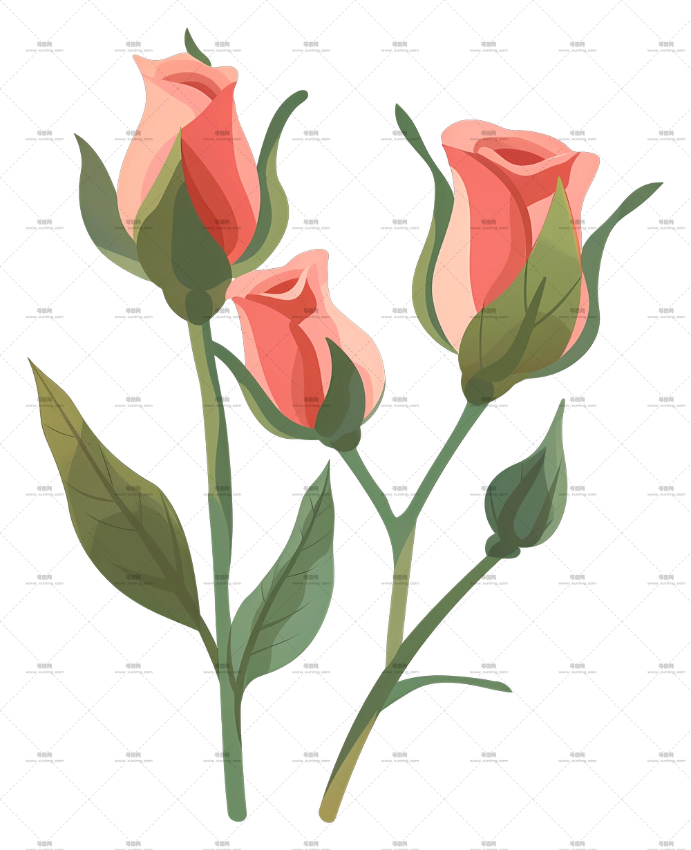 粉色玫瑰花蕾插画PNG免抠图预览图