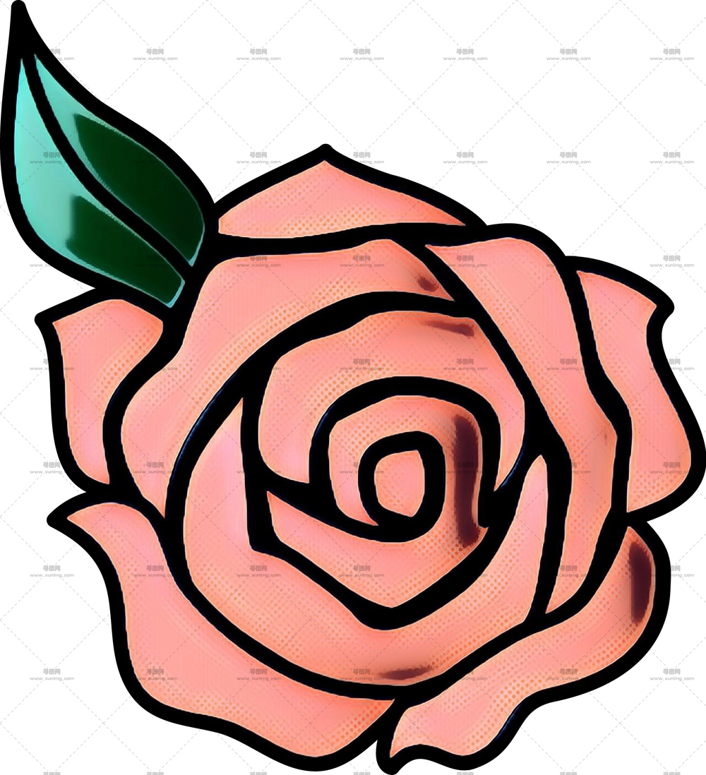 粉色玫瑰花植物学插画PNG免抠图预览图