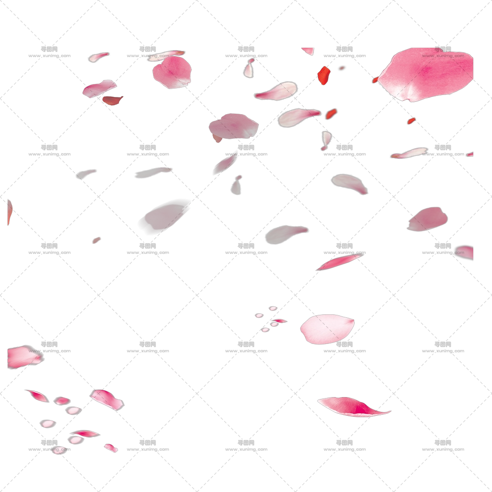 粉色玫瑰花瓣插画PNG免抠图预览图