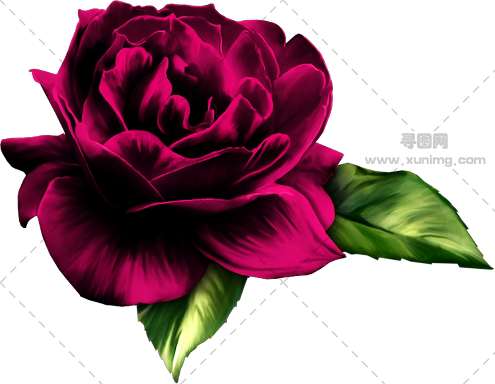 带绿叶深粉色玫瑰花PNG免抠图预览图 带绿叶深粉色玫瑰花PNG免抠图预览图