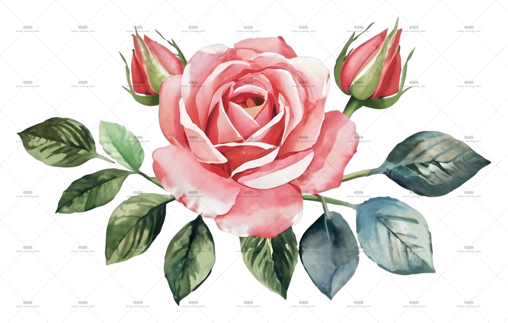 带绿叶粉色玫瑰花插画PNG免抠图预览图 带绿叶粉色玫瑰花插画PNG免抠图预览图