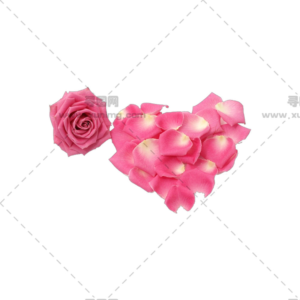 粉色玫瑰花和花瓣心形布置PNG免抠图预览图