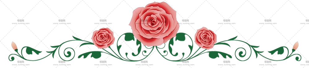 花卉设计装饰玫瑰花边框PNG免抠图预览图