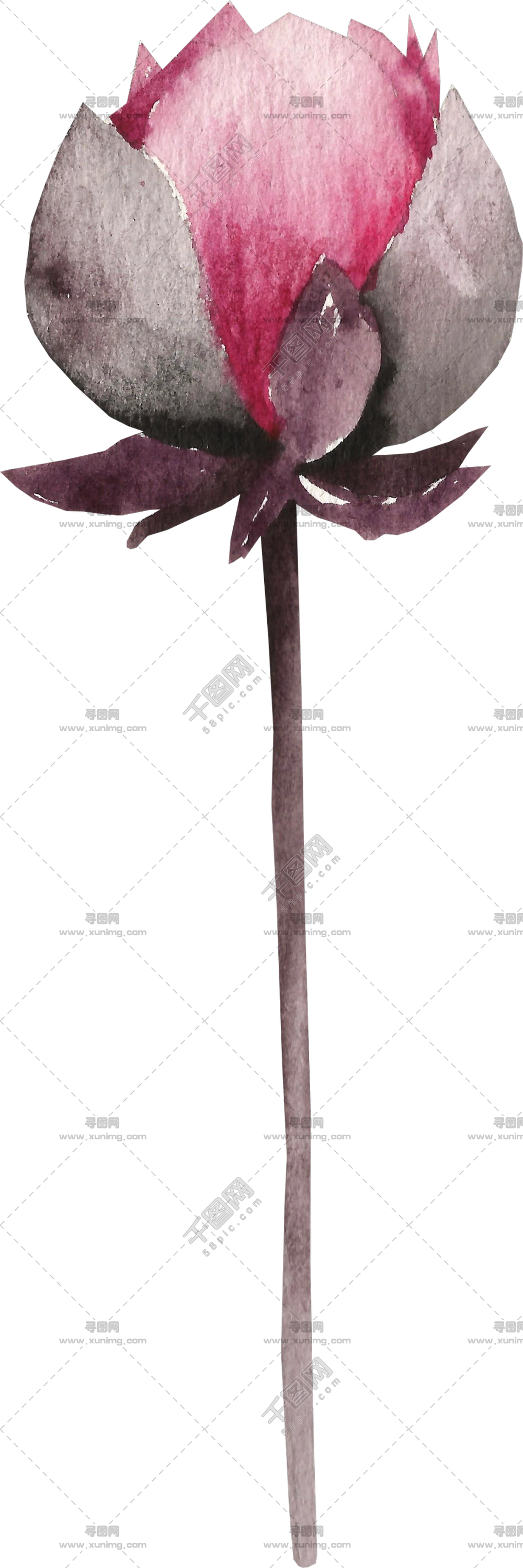 水彩玫瑰花蕾插画PNG免抠图预览图