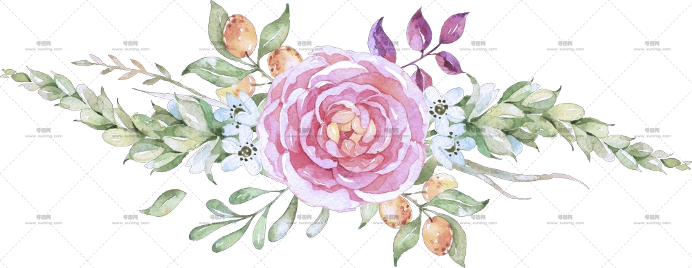 粉色玫瑰花水彩花卉布置PNG免抠图预览图