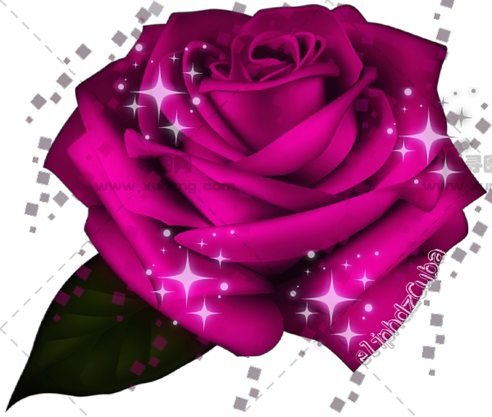 盛开的闪亮紫玫瑰花PNG免抠图预览图