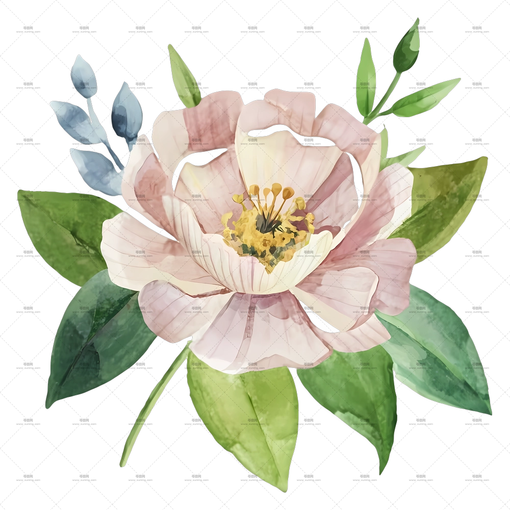 带柔和绿叶的牡丹水彩插画PNG免抠图预览图